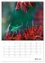 Helden in der Natur (Wandkalender 2026... - Bild 13
