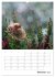 Helden in der Natur (Wandkalender 2026... - Bild 3