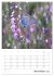 Helden in der Natur (Wandkalender 2026... - Bild 4