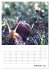 Helden in der Natur (Wandkalender 2026... - Bild 8
