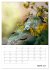 Helden in der Natur (Wandkalender 2026... - Bild 10