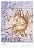 Sternzeichenkalender (hochwertiger... - Bild 12
