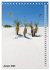 WHITE SANDS NATIONAL MONUMENT... - Bild 7