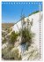 WHITE SANDS NATIONAL MONUMENT... - Bild 8