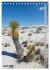 WHITE SANDS NATIONAL MONUMENT... - Bild 10