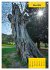 Stille Riesen (Tischkalender 2026 DIN... - Bild 9