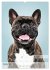 Hundekalender - Hunderassen im Portrait... - Bild 2