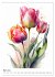 Aquarellmalerei - Blumen und Tiere im... - Bild 9