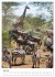 Serengeti Pur - Tansania (Wandkalender... - Bild 13