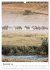 Serengeti Pur - Tansania (Wandkalender... - Bild 5