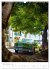 Old Cars of Cuba (Wandkalender 2026 DIN... - Bild 4
