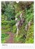 Malerisches Madeira (Wandkalender 2026... - Bild 14