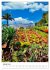 Malerisches Madeira (Wandkalender 2026... - Bild 7