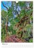 Malerisches Madeira (Wandkalender 2026... - Bild 8