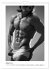 Männer... in Underwear (Wandkalender... - Bild 7