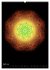 Mandala-Kalender 2026 (Wandkalender... - Bild 10