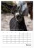 Liebenswerte Landtiere (Wandkalender... - Bild 11