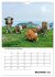 Liebenswerte Landtiere (Wandkalender... - Bild 5