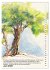 Mal mal mit Stiften (Wandkalender 2026... - Bild 12