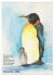 Mal mal mit Stiften (Wandkalender 2026... - Bild 5