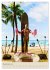 O'ahu - Hawaii, Bilder aus dem... - Bild 5