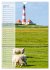 Maritim - Geburtstagskalender... - Bild 12