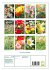 Ein buntes Tulpenjahr (Wandkalender... - Bild 6