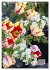 Ein buntes Tulpenjahr (Wandkalender... - Bild 7