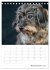Dackelportraits (Tischkalender 2026 DIN... - Bild 15