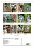 Putzige Kattas (Wandkalender 2026 DIN... - Bild 6