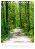 Herrliche Wanderwege (Tischkalender... - Bild 11