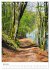 Herrliche Wanderwege (Tischkalender... - Bild 12