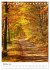 Herrliche Wanderwege (Tischkalender... - Bild 3