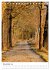 Herrliche Wanderwege (Tischkalender... - Bild 4