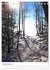 Herrliche Wanderwege (Tischkalender... - Bild 5