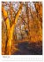 Herrliche Wanderwege (Tischkalender... - Bild 8