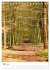 Herrliche Wanderwege (Tischkalender... - Bild 9