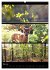 Bezaubernde Farben der Natur... - Bild 11