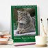 Kleine Tiger im Wald (Tischkalender... - Bild 2