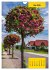 Stille Riesen (Wandkalender 2026 DIN A4... - Bild 11
