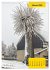 Stille Riesen (Wandkalender 2026 DIN A4... - Bild 8