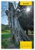 Stille Riesen (Wandkalender 2026 DIN A4... - Bild 9