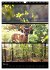 Bezaubernde Farben der Natur... - Bild 11