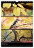 Bezaubernde Farben der Natur... - Bild 3