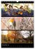Bezaubernde Farben der Natur... - Bild 4