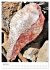 Strukturen - Steine, Eis, Pflanzen... - Bild 12