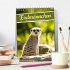 Erdmännchen, putzige Kerlchen mit... - Bild 2