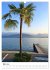 Traumhafter Lago Maggiore (Wandkalender... - Bild 9