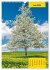 Stille Riesen (Wandkalender 2026 DIN A3... - Bild 11