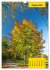 Stille Riesen (Wandkalender 2026 DIN A3... - Bild 3